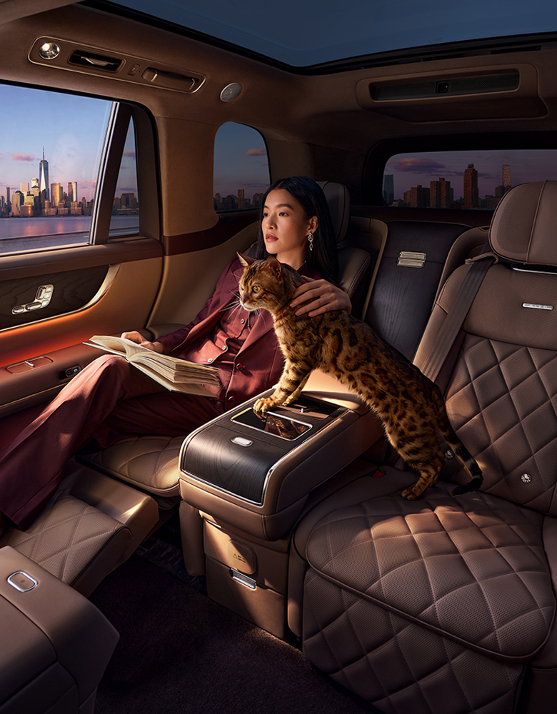 Premium intelligent cabin